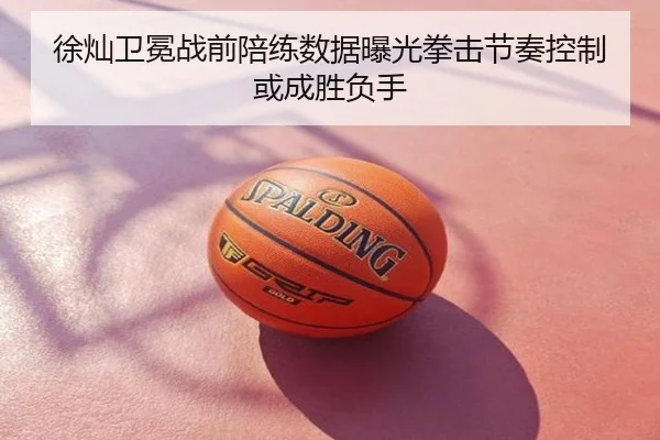 徐灿卫冕战前陪练数据曝光拳击节奏控制或成胜负手