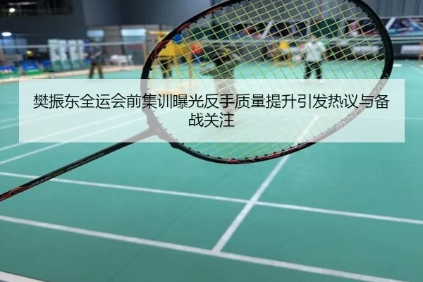 樊振东全运会前集训曝光反手质量提升引发热议与备战关注