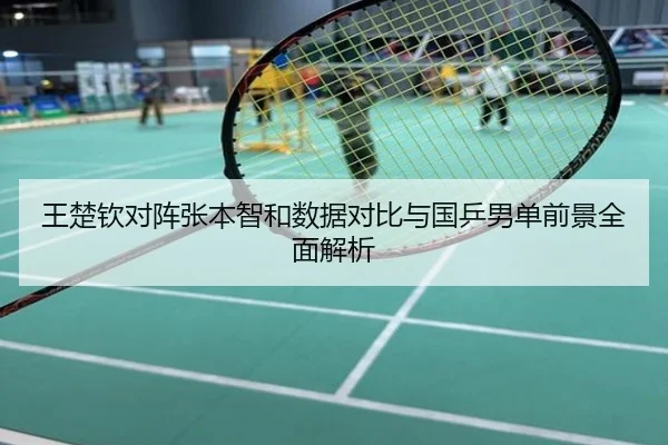 王楚钦对阵张本智和数据对比与国乒男单前景全面解析