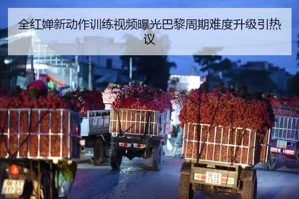 全红婵新动作训练视频曝光巴黎周期难度升级引热议
