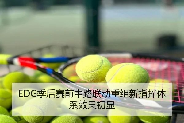 EDG季后赛前中路联动重组新指挥体系效果初显